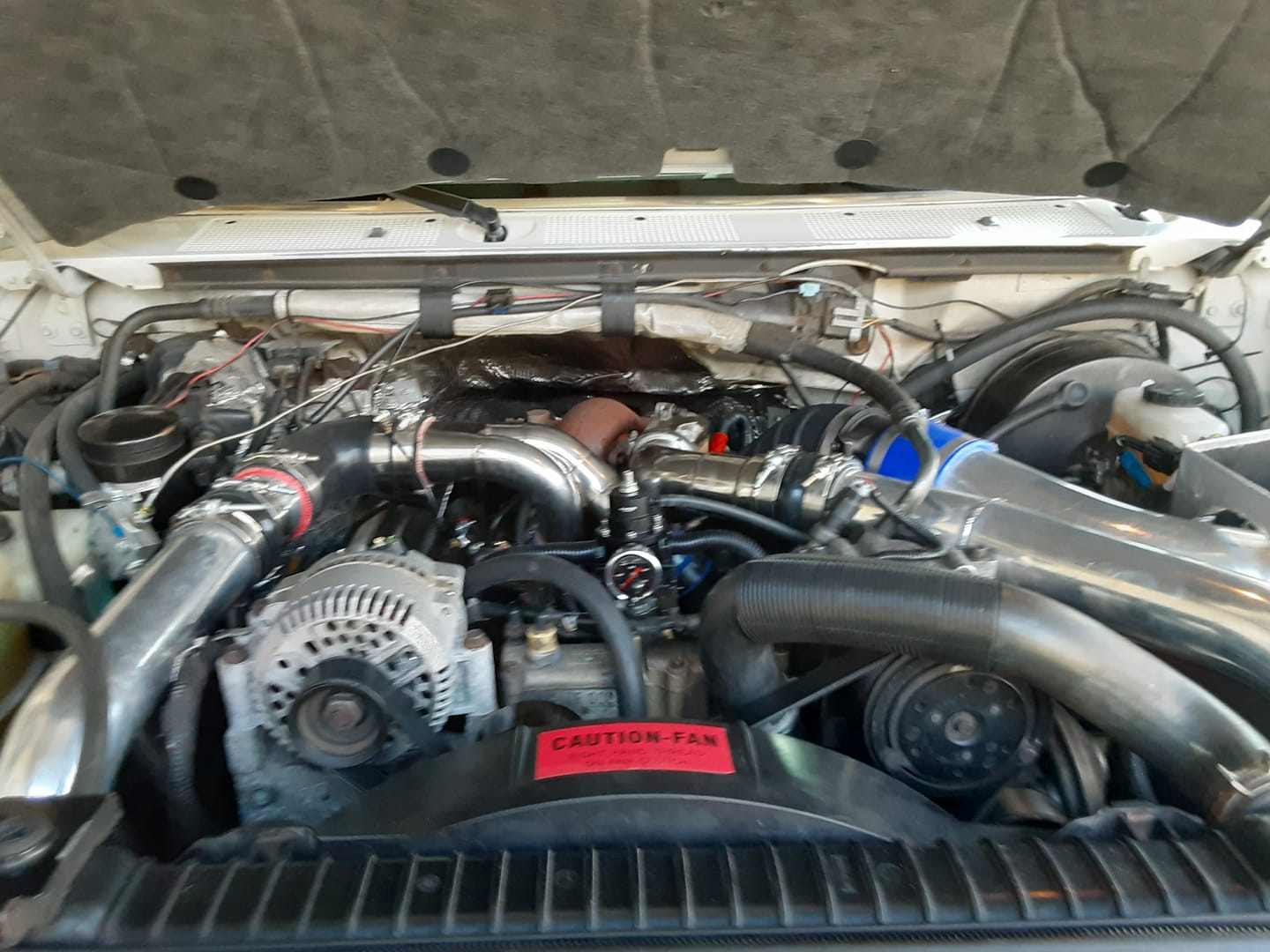 Customer photo review of Hydra Chip With JeliBuilt Tuning