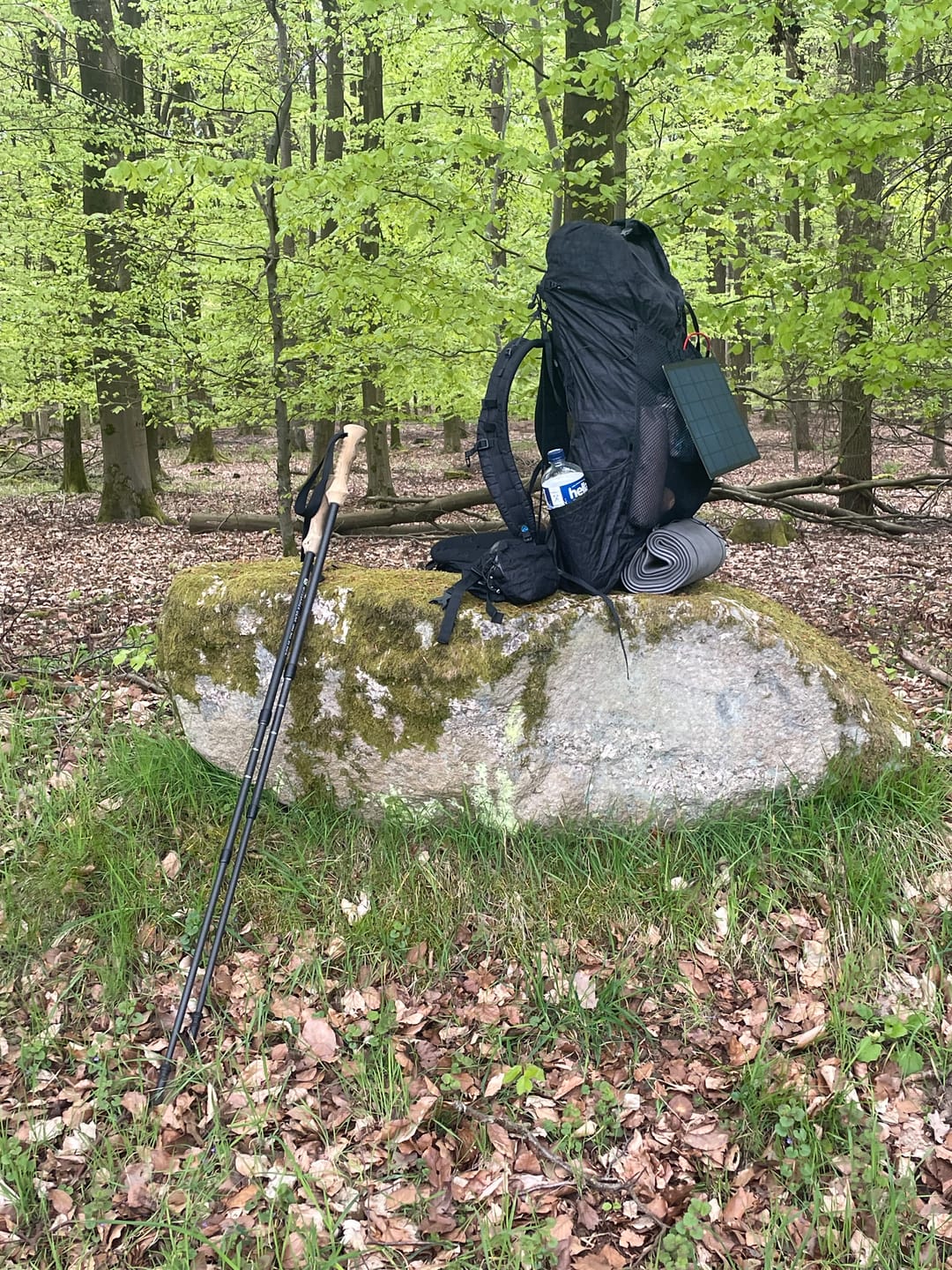 Customer photo review of LT5 Three Piece Carbon Trekking Poles (pair)