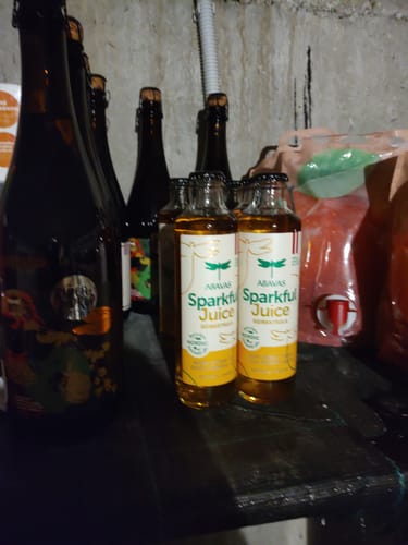 Customer photo review of Ābolu dzirkstsula ar ingveru un apiņiem SPARKFUL