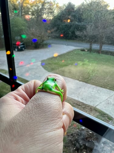 Customer photo review of Frog Ring