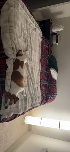 Customer photo review of SASHA Black Underwire Halter Top