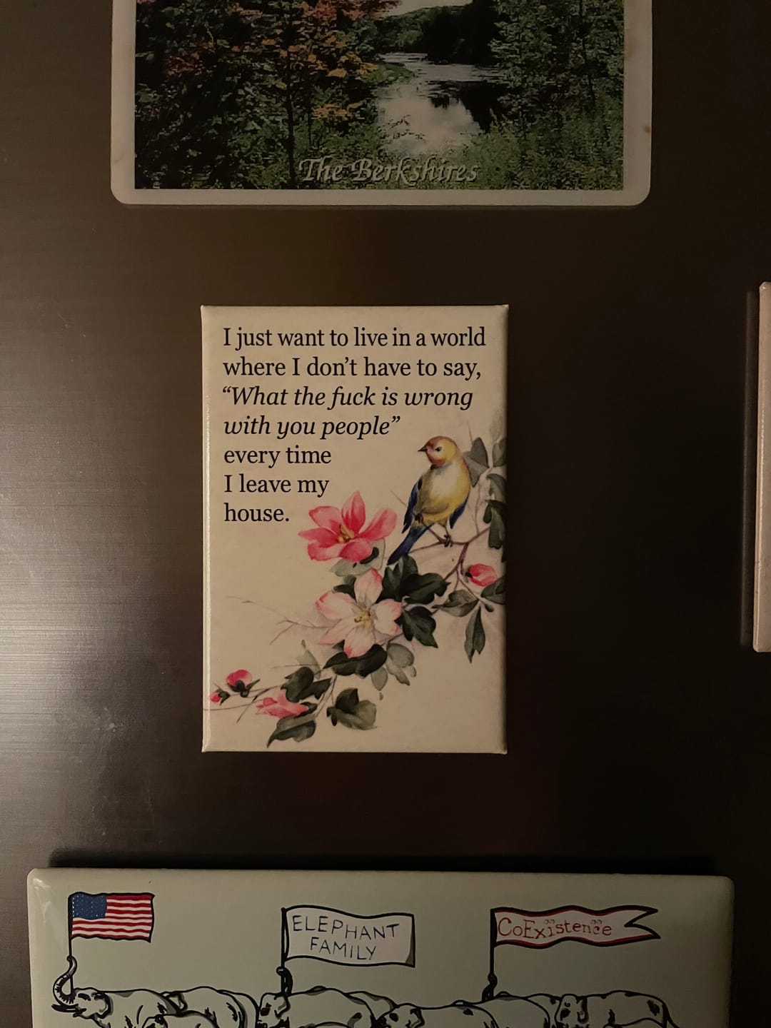 Customer photo review of I Just Want To Live In A World Magnet