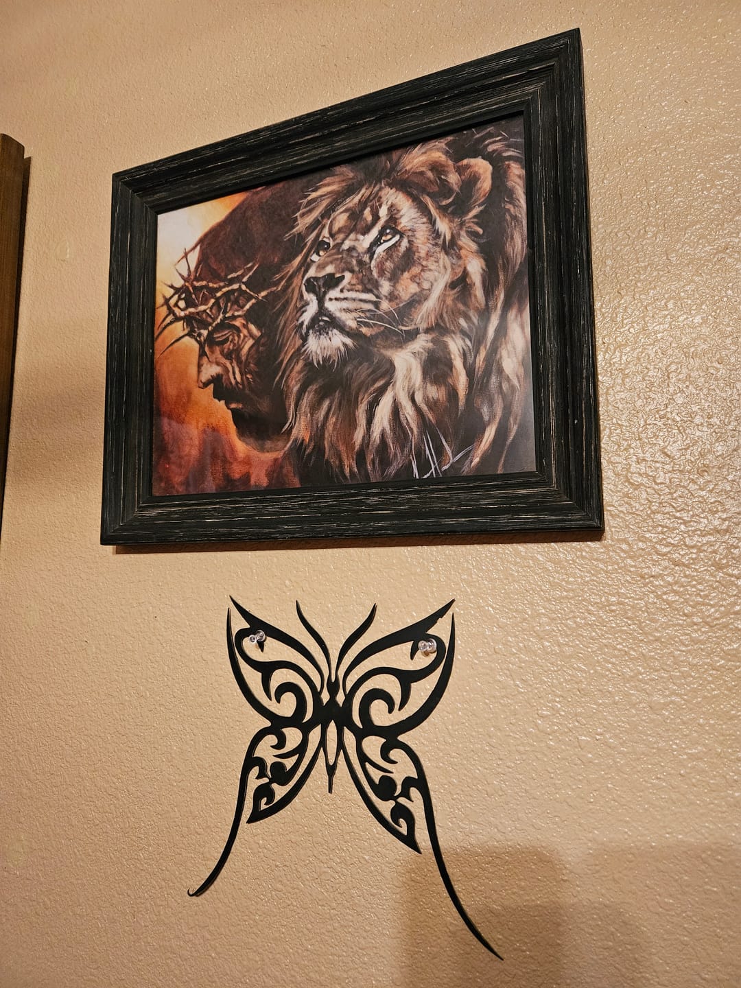 Customer photo review of King of Kings
