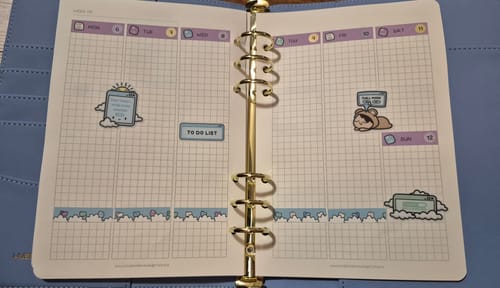 Customer photo review of Planner Subscription