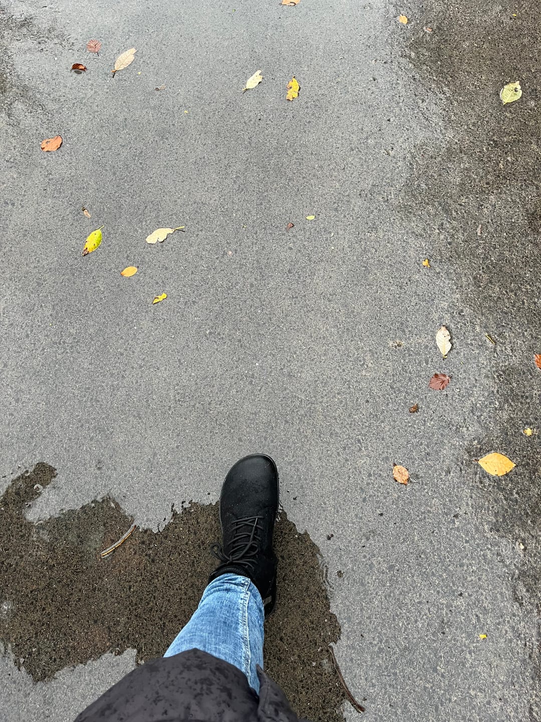 Customer photo review of Ambition II - Winter Barfußschuhe