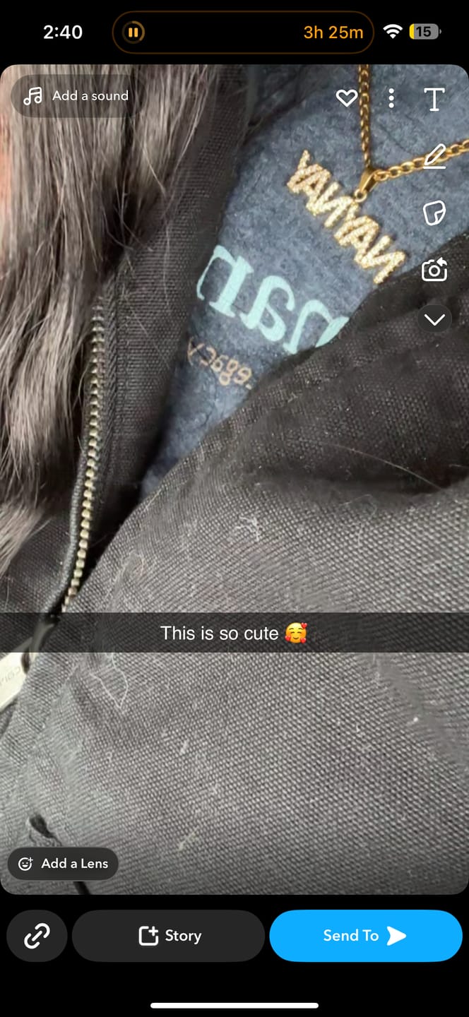 Customer photo review of Iced Arial Name Chain