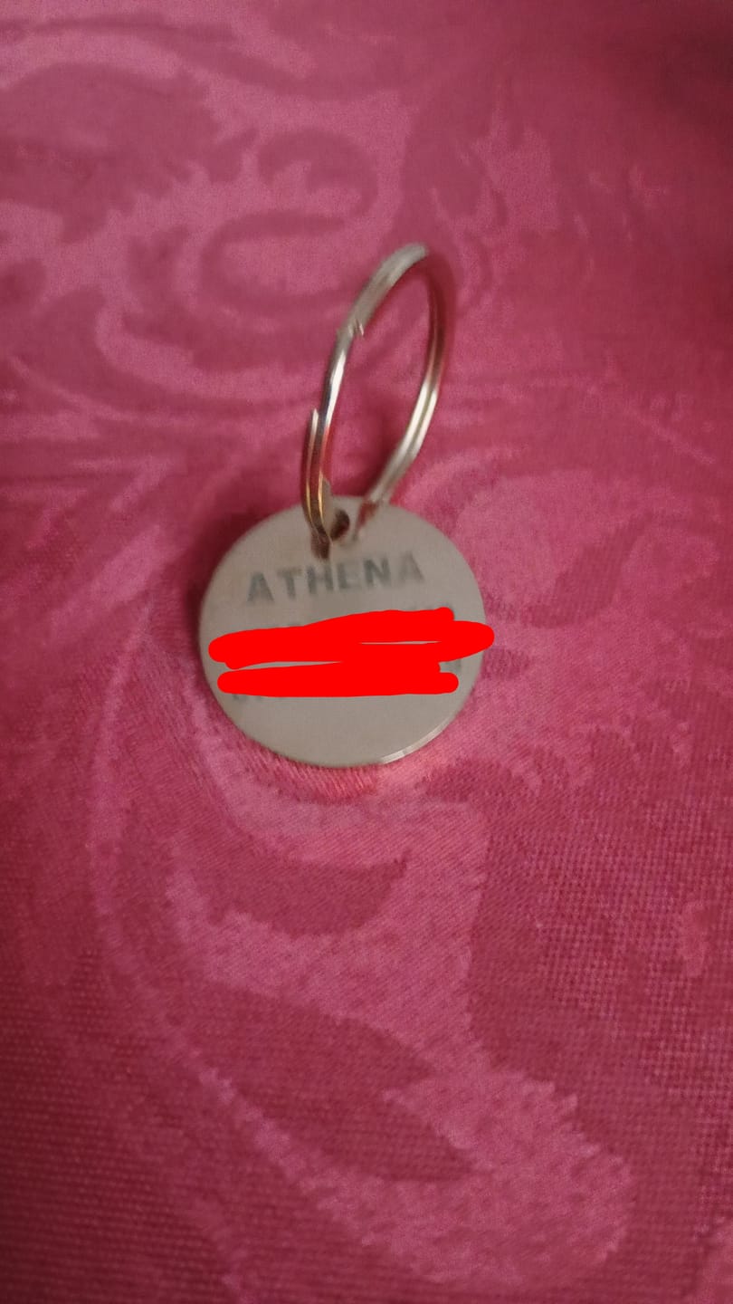 Customer photo review of Dog ID Tag - Rose Gold (With Gift Box)