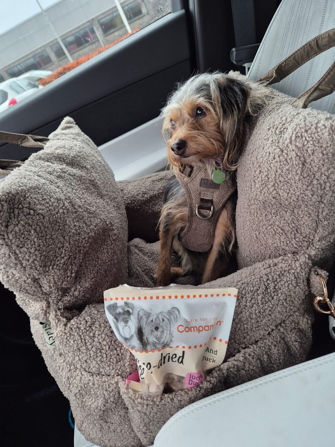 Customer photo review of Staey - Lara 3-i-1 Bilsæde, Taupe