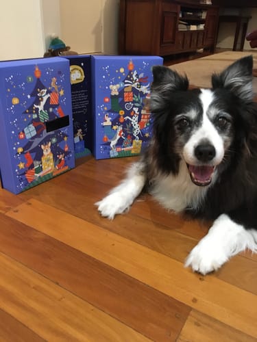 Alison C. review of Advent Calendar Christmas Dog Treats - PREORDER NOW! image 1 out of 1