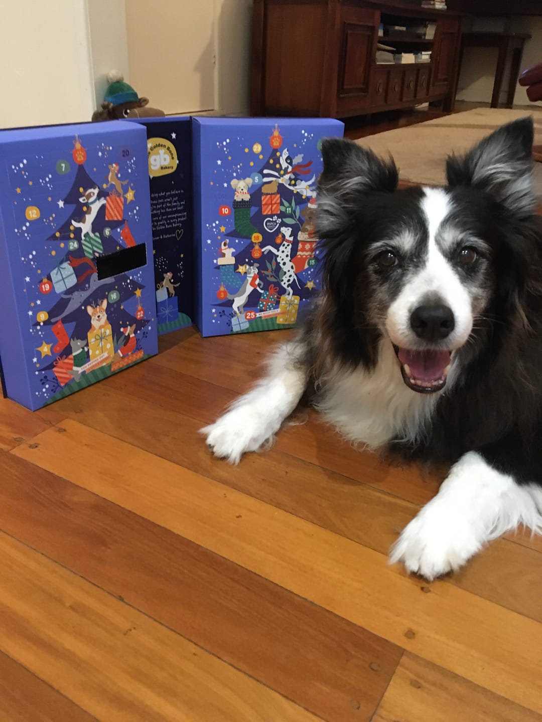 Customer photo review of Advent Calendar Christmas Dog Treats - PREORDER NOW!