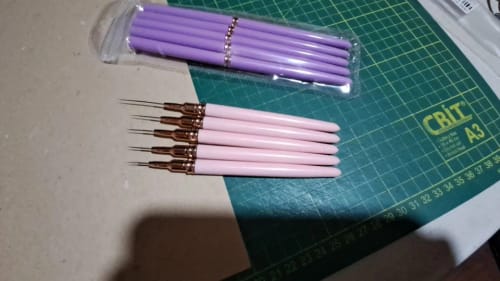 Customer photo review of Nail Art Brush Set