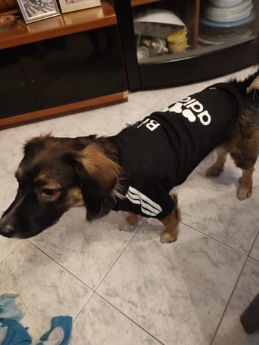 Customer photo review of Felpa "Adidog" Nera Personalizzabile con nome