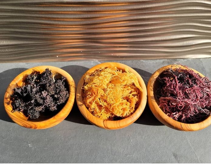 Customer photo review of Full Spectrum Irish Sea moss