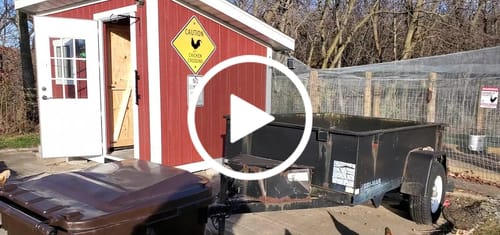 Customer video review of Medium (34") Reversible Rollout Nest Box (Up to 32 Hens) - Premium Grade - Ready to Ship