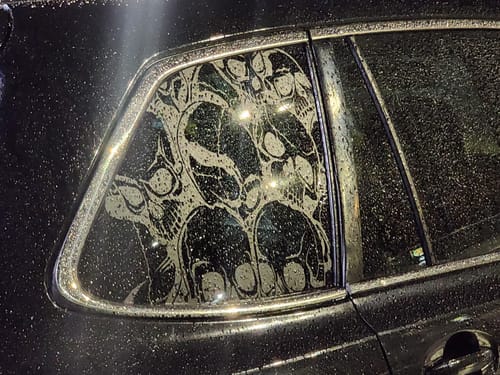 Customer photo review of Skulls Pattern Quarter Window