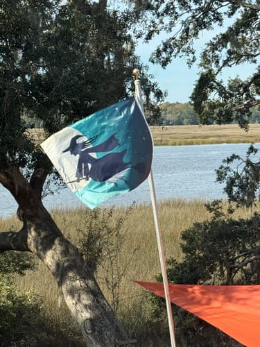 Customer photo review of Full Moon Halloween Flying Witch Print Flag