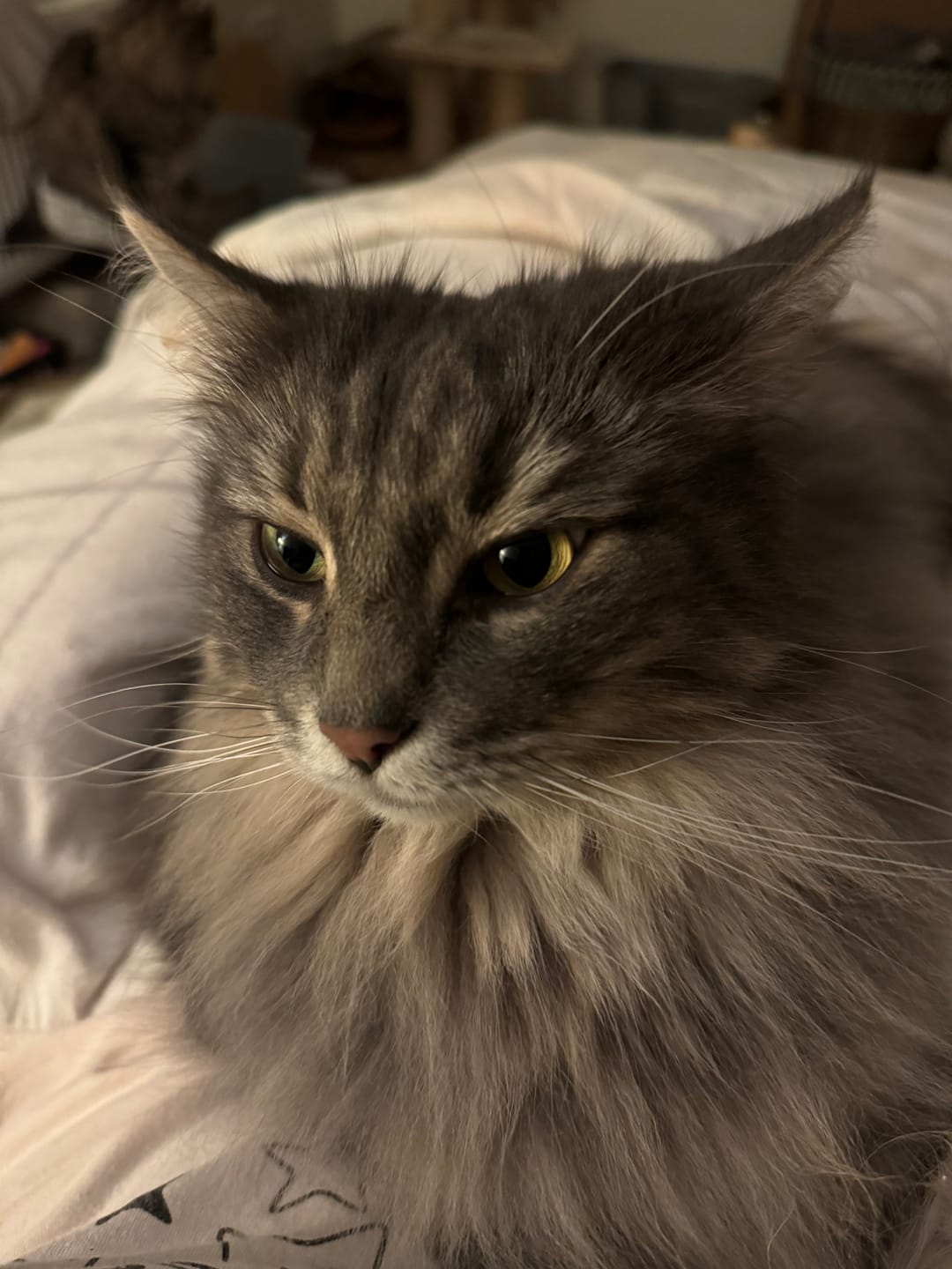 Customer photo review of Wurmtest Plus Katze