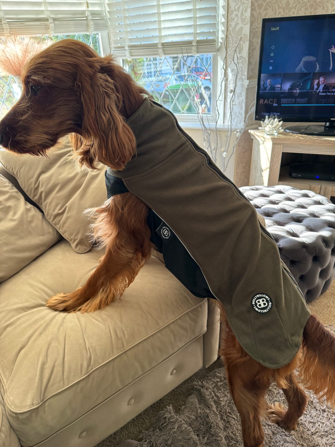 Customer photo review of Dog Fleece With Zip - Khaki