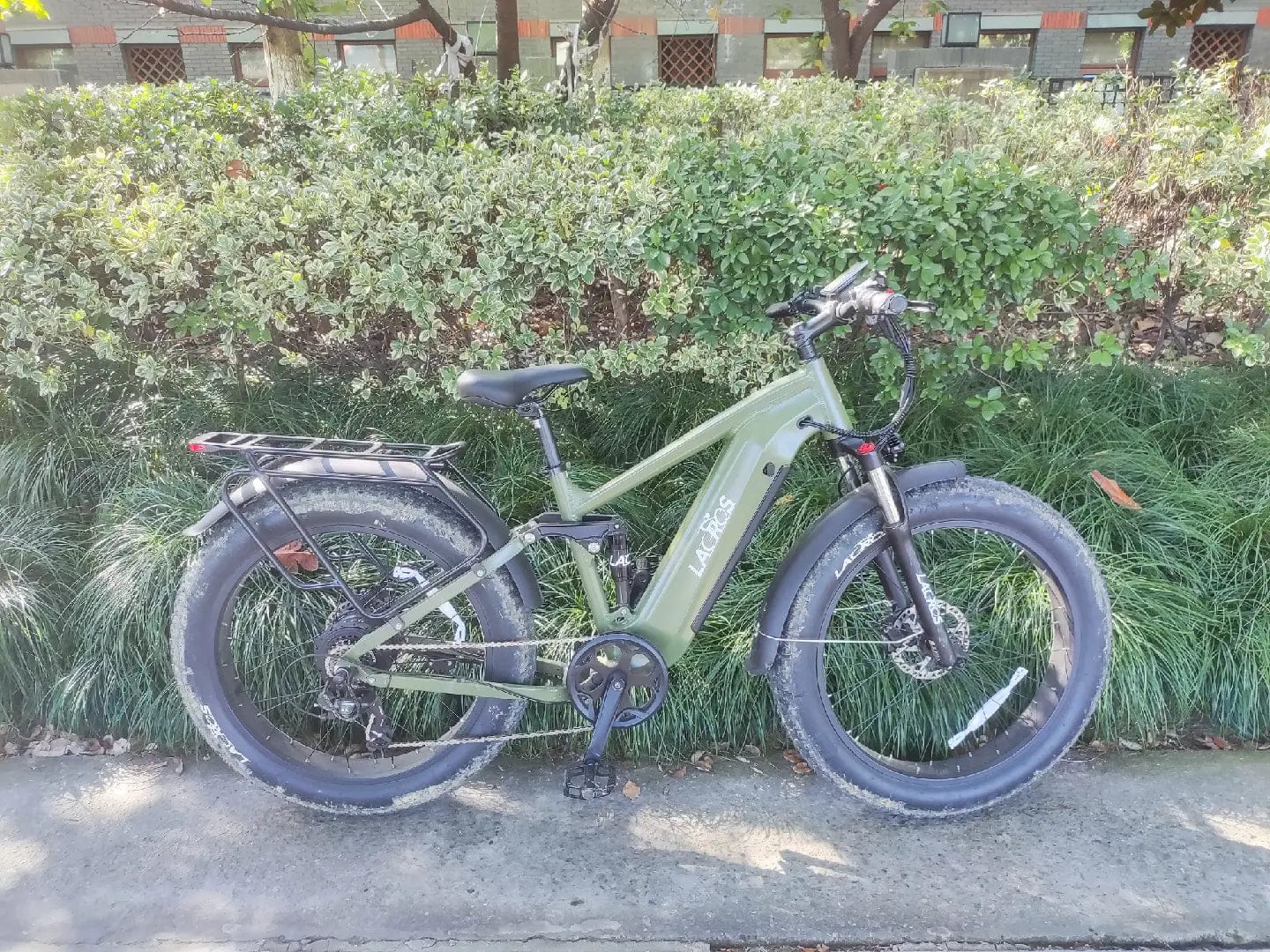 Customer photo review of Thunder