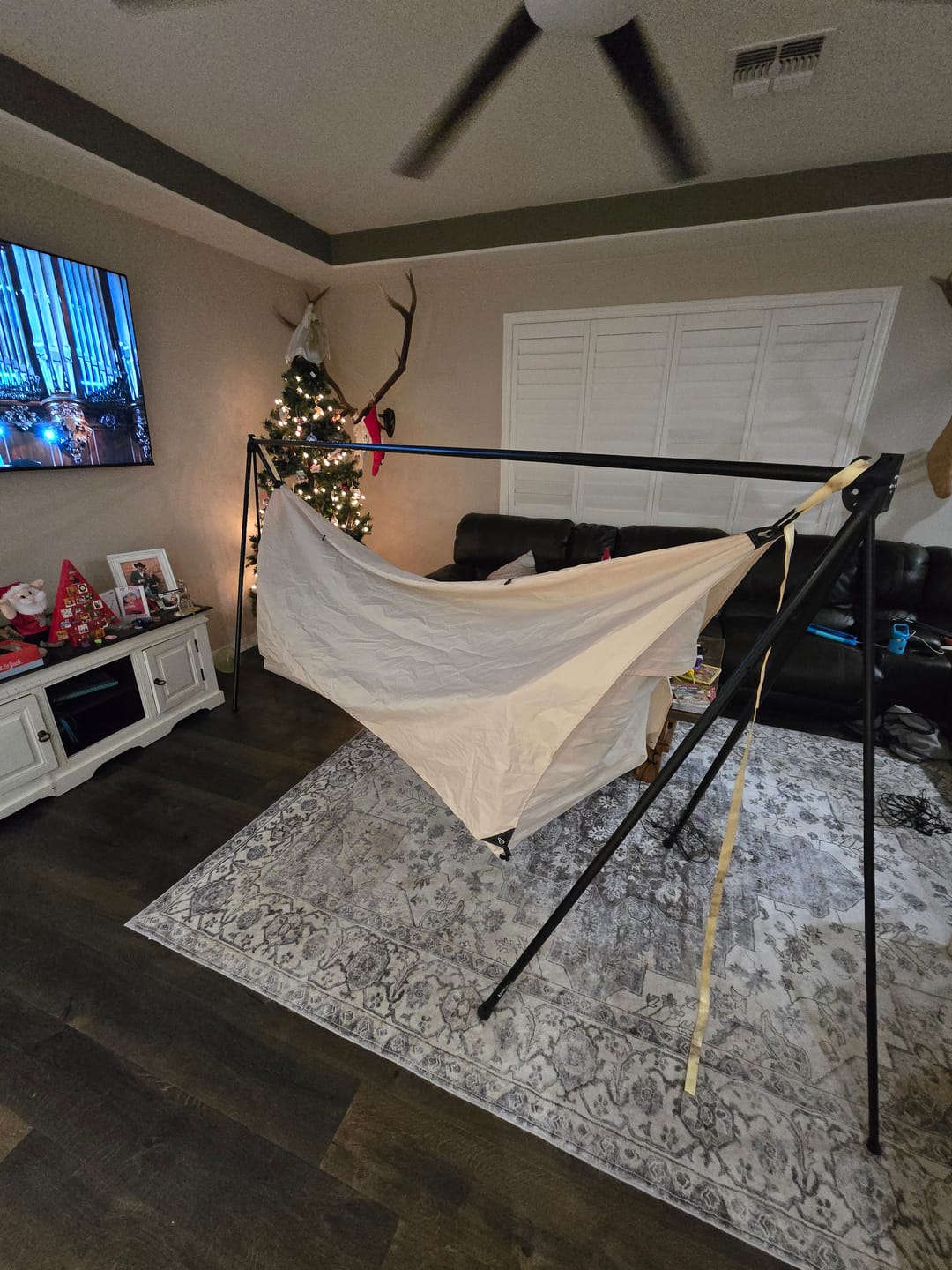 Customer photo review of Haven Stand by YOBOGear
