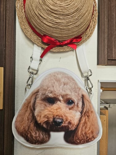 Customer photo review of 本物そっくり♪ペットフェイスバッグ