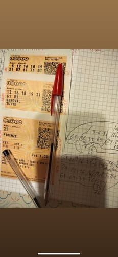 Customer photo review of Felpa "Trendy Dog" Rosa Personalizzabile con Nome e Numero