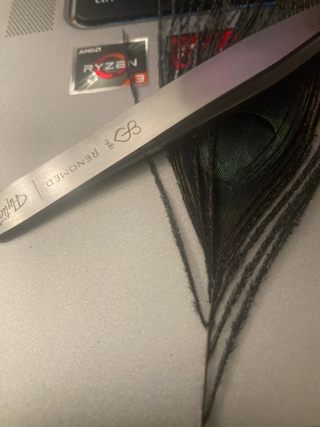 Customer photo review of FT4 - Fly Tying Tweezer