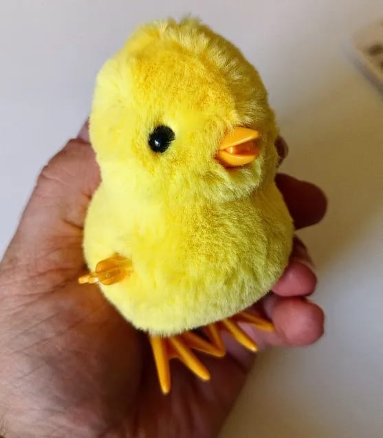 Customer photo review of Poussin Sautillant Mécanique