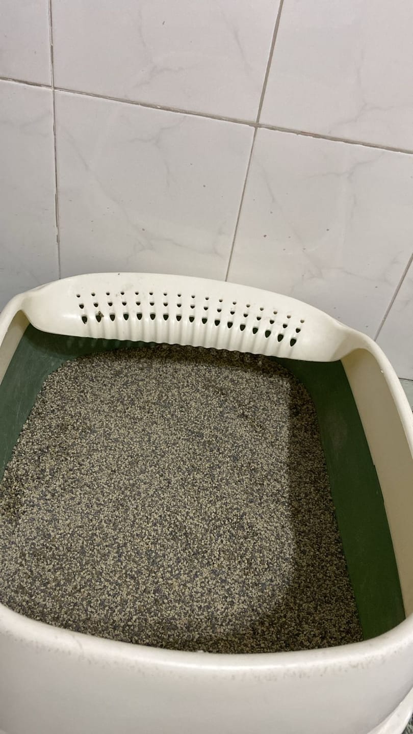 Customer photo review of Arena Minino 48kg - Carbón Activado [Nueva]