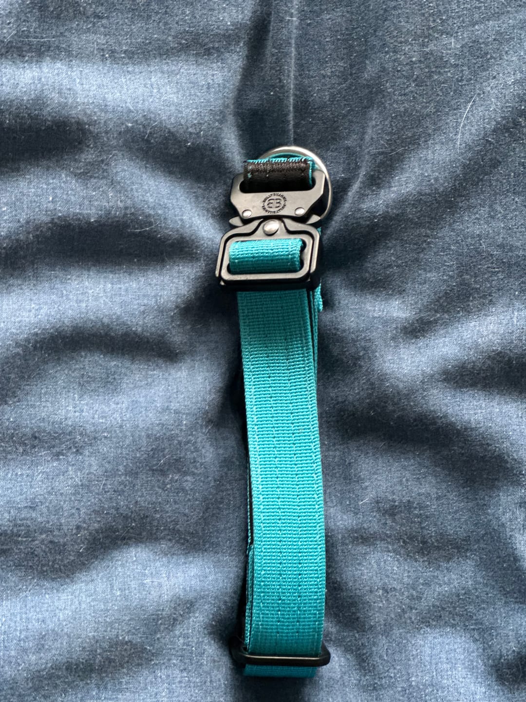Customer photo review of 2.5cm Combat® Collar | With Handle & Rated Clip - Light Blue