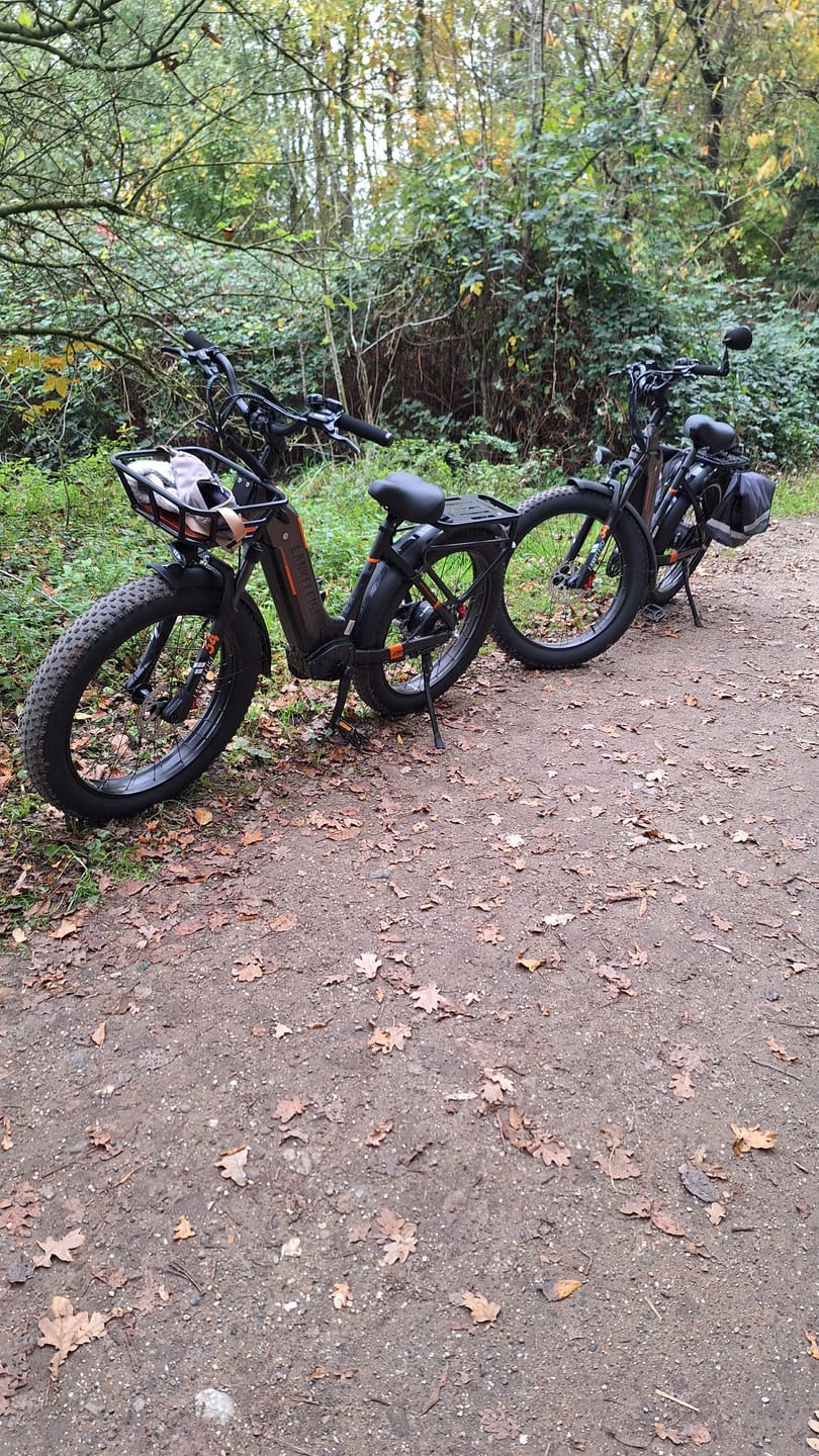 Customer photo review of Lankeleisi MG600 Plus * 2 E-Bikes Bundle