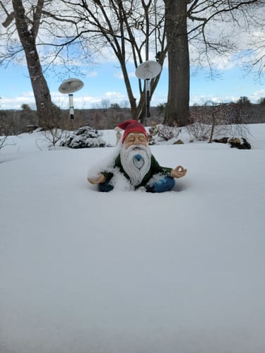Customer photo review of Winter Wellness Bundle