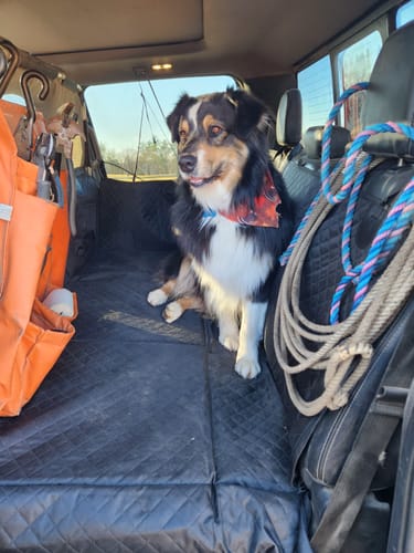 Customer photo review of NEW Waterproof Hard Bottom Car & Truck Seat Foldable Hammock Cover With Storage Pockets, Side Flaps, Headrest Straps, Seat Anchors, & Mesh Window (+FREE SAFETY BELT!)