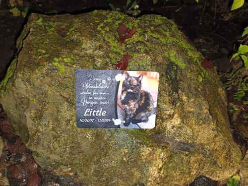 Customer photo review of Katzen Gedenktafel mit Foto & Spruch (UV- & Wetterfest)