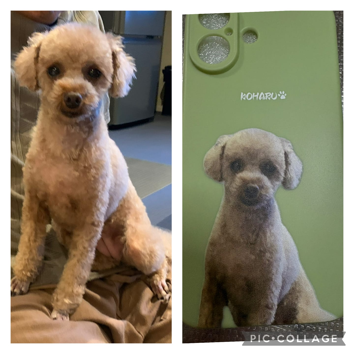 Customer photo review of ペットの写真で作るオリジナルユアフォトスマホケース02（iPhone,Android）