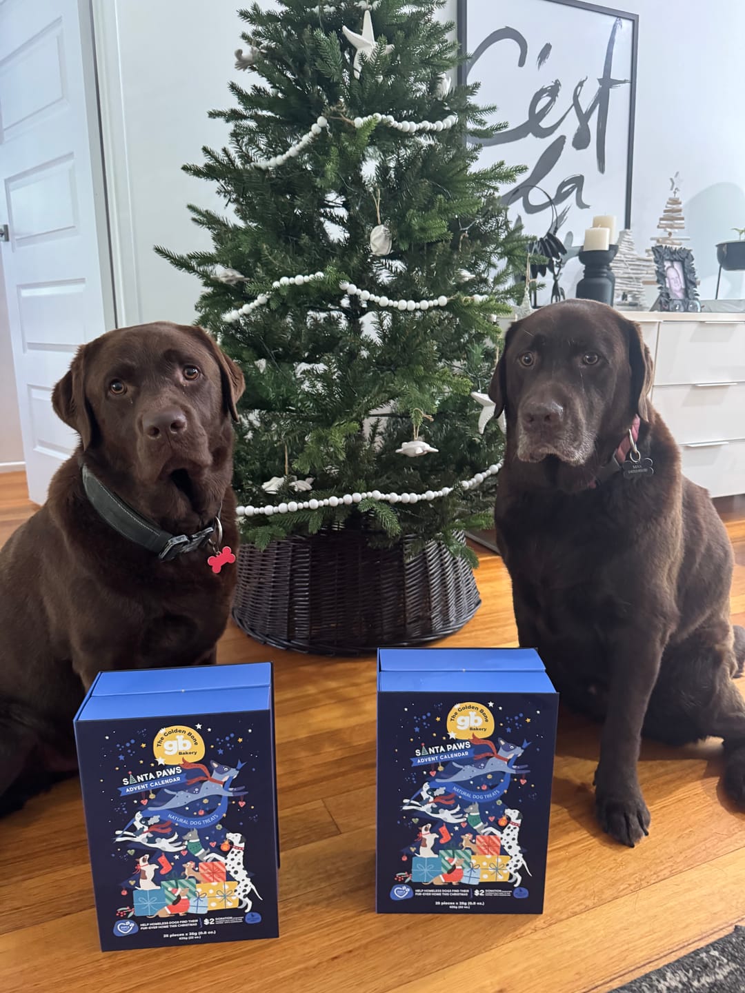 Customer photo review of Advent Calendar Christmas Dog Treats - PREORDER NOW!