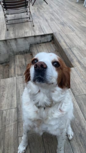 Customer photo review of cars plush pajama duo