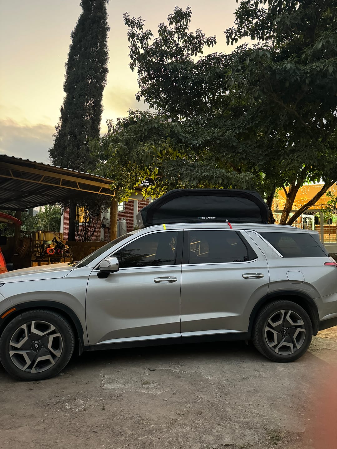 Customer photo review of LARGE CARRIER23