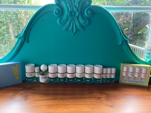 Customer photo review of Bursting Bloom