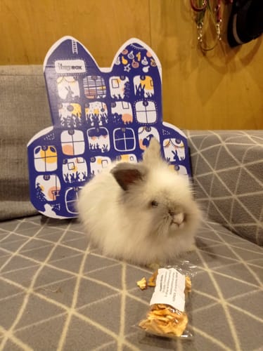 undefined review of Le Calendrier de l'Avent Magic'Bunny image 1 out of 1