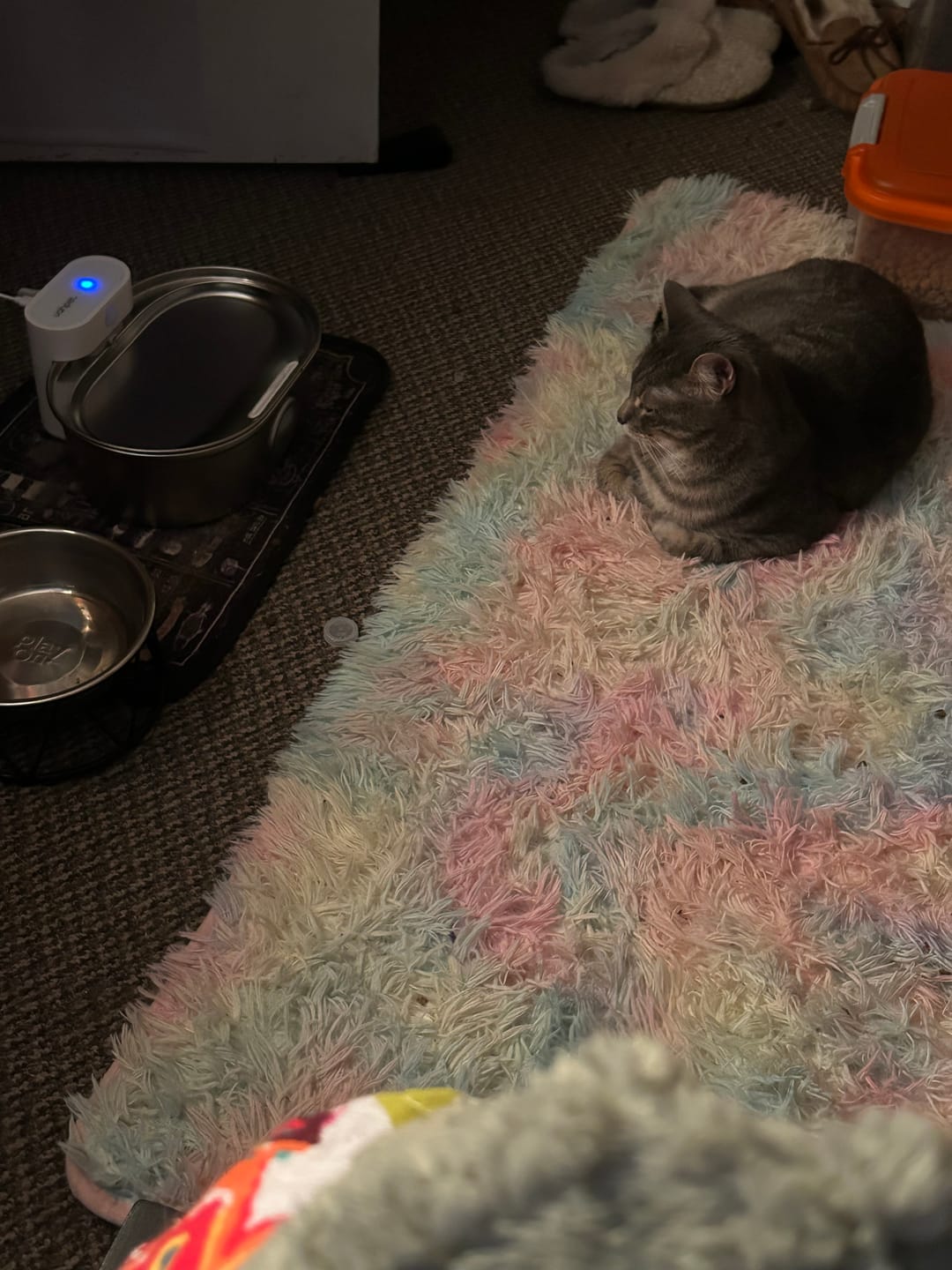 Customer photo review of NEW! - Pop 'n Purr Mix