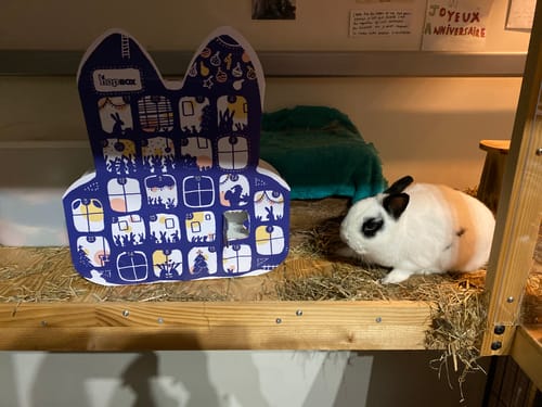 Customer photo review of Le Calendrier de l'Avent Magic'Bunny