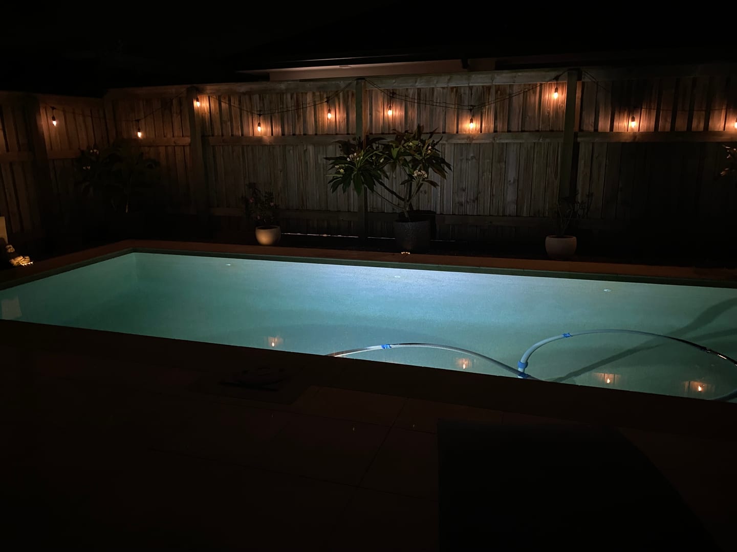 Customer photo review of Festoon Solar Lights (Series 2)