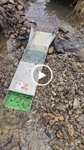 Customer video review of 888 Gold Rat sluice - with Mini cell Dream mat