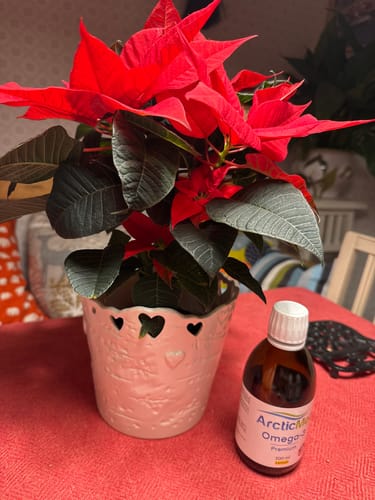 Customer photo review of Omega-3 Premium