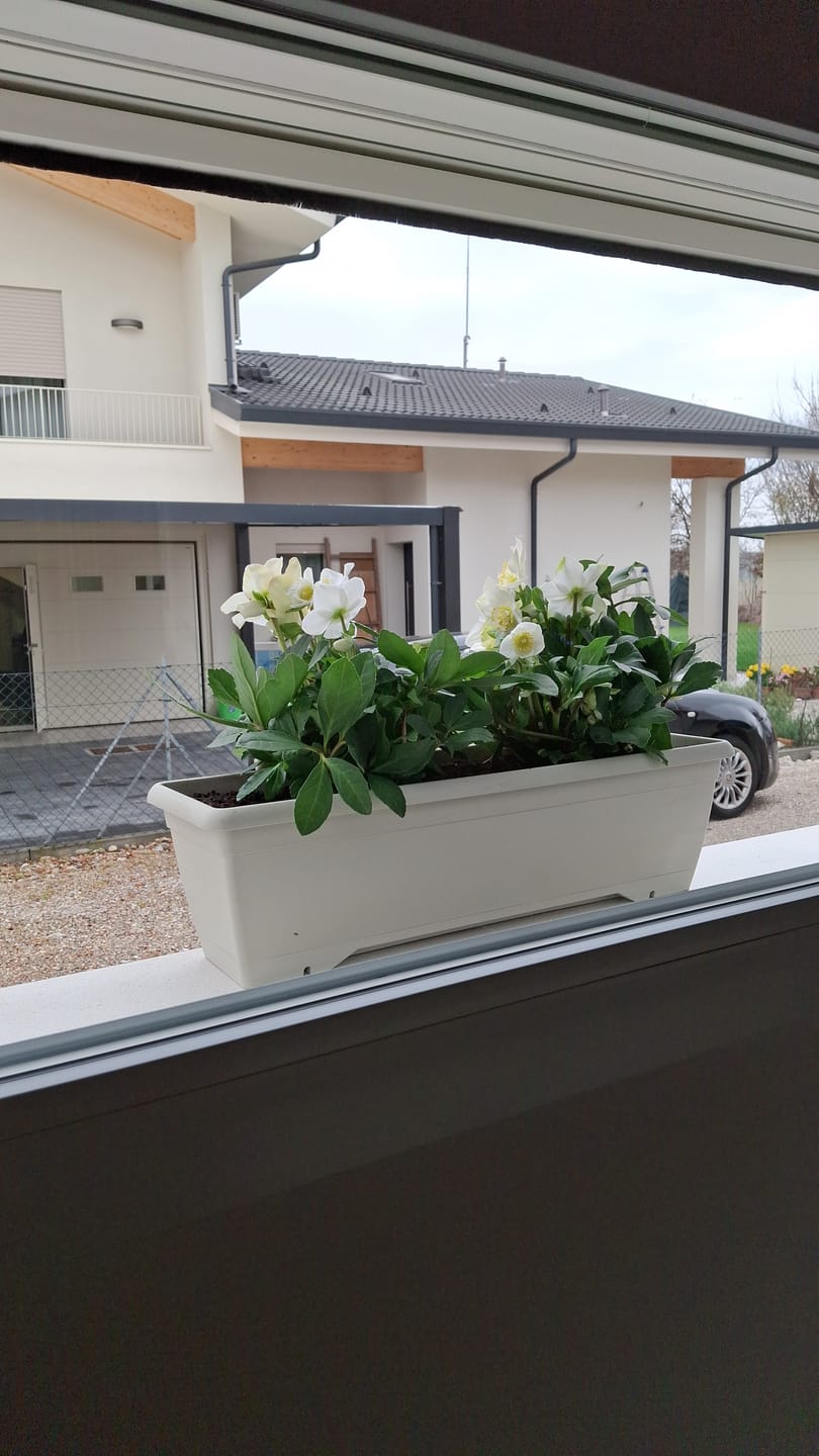 Customer photo review of Kit Vetri: Panno + Sapone Neutro