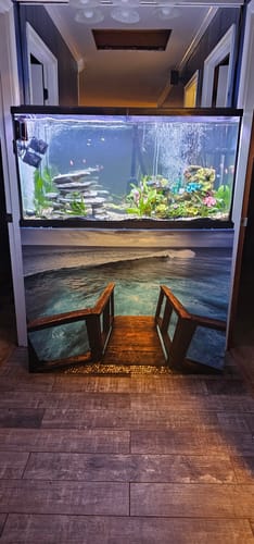 Customer photo review of Jump Into Paradise