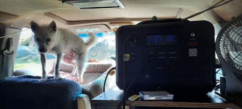 Customer photo review of PS1300 Portable Lithium Power Station 1300W 100Ah