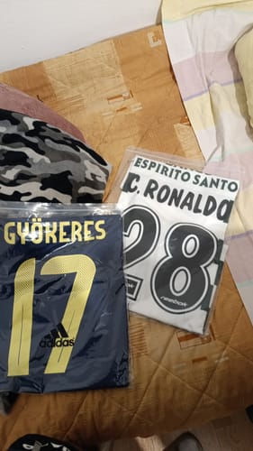 Customer photo review of Viktor Gyökeres Sweden National 2025 New Season Football Jersey