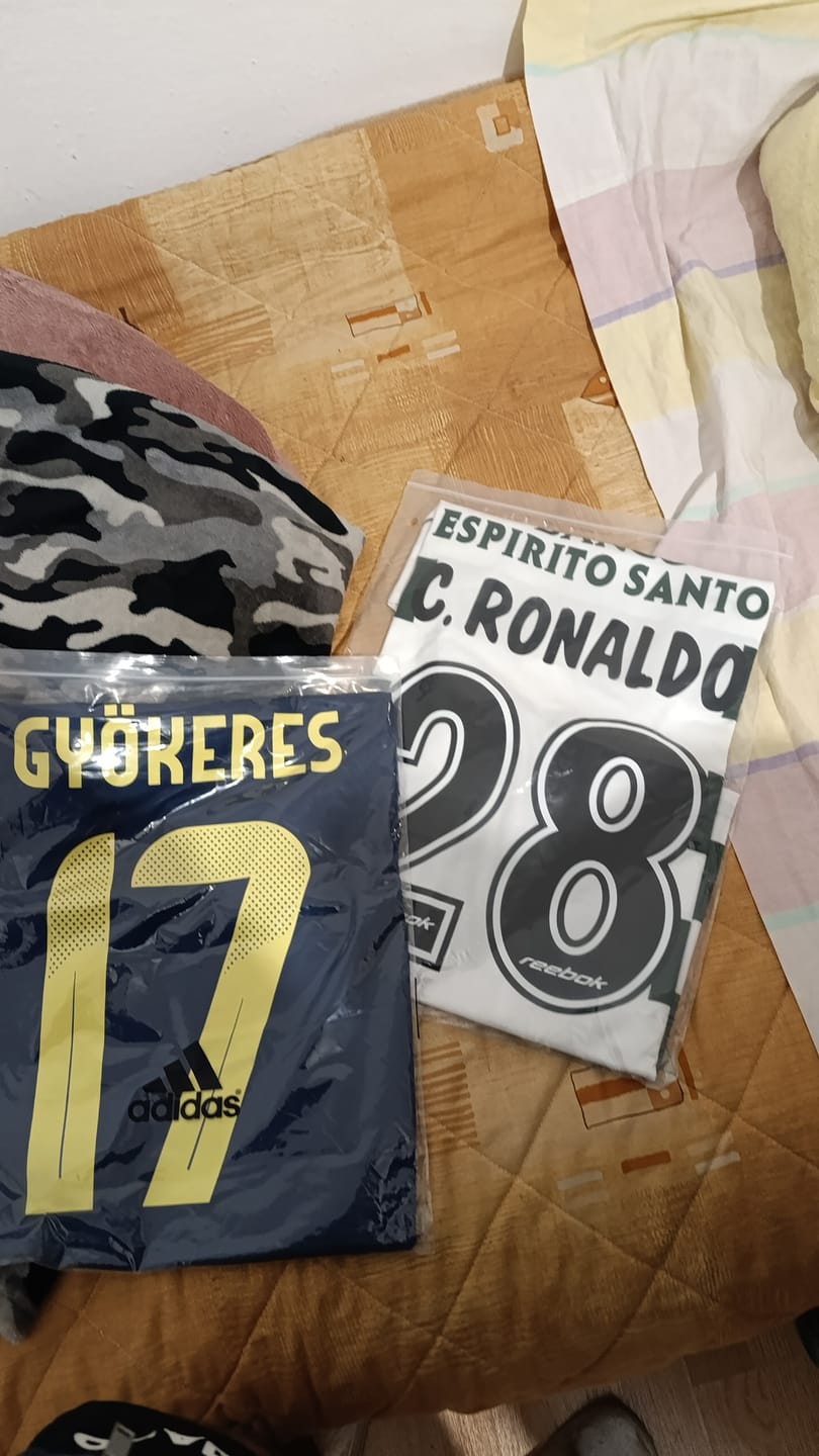 Customer photo review of Viktor Gyökeres Sweden National 2025 New Season Football Jersey
